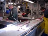 Рыбная и мясоперерабатывающая промышленность